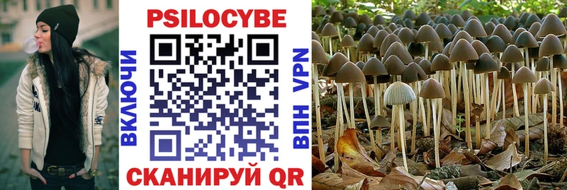Псилоцибиновые грибы мухоморы  Козловка 